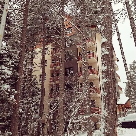 Wonderwood Family Appartement *