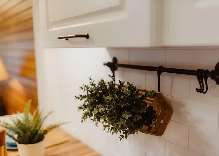 Wonderwood Family Апартаменты