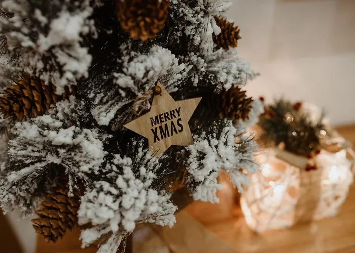 Wonderwood Family * Ζλάτιμπορ