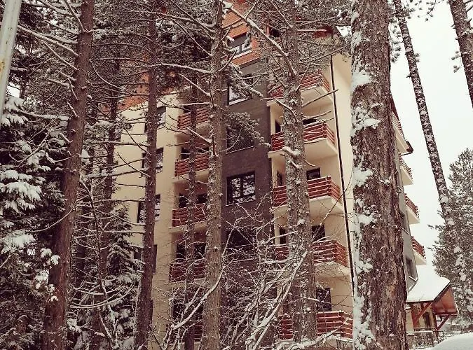 Wonderwood Family Апартаменты *